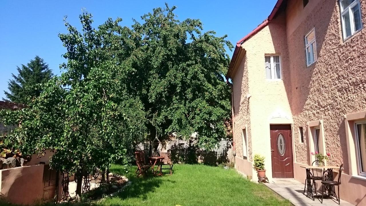 Ubytovani Saslun Apartment Kolesov Exterior photo